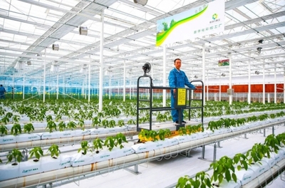 乘&ldquo;數&rdquo;而上,浙江讓農業更&ldquo;聰明&rdquo;