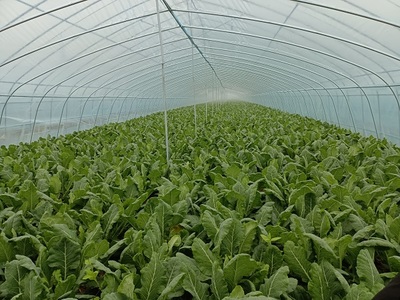 朱巷鎮(zhèn):用好集體經(jīng)濟(jì)&ldquo;三法寶&rdquo;,助力鄉(xiāng)村振興開新局