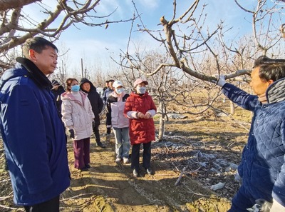 科技助農(nóng)到田間 服務(wù)果農(nóng)暖心田--開封市農(nóng)林科學(xué)研究院"四下基層"科技服務(wù)紀(jì)實