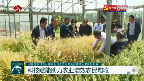 問題不出田 江蘇積極開展農業科技服務活動