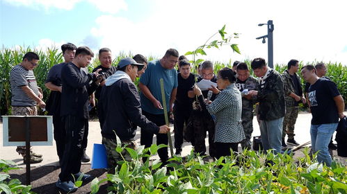 鶴山農(nóng)場(chǎng) 培訓(xùn)賦新能,農(nóng)技促提升