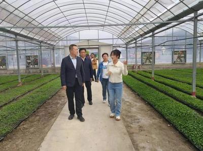 隴南武都區:統戰賦能農旅融合 激活產業振興&ldquo;新動能&rdquo;