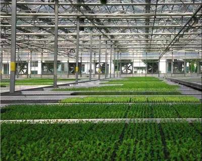 張兵書記調研湘家蕩農業(yè)數字化工廠，助力農民豐收節(jié)農業(yè)科技服務