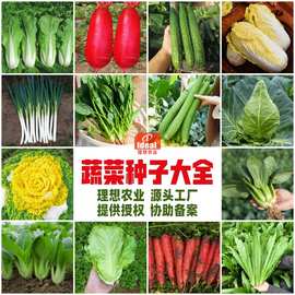 10000克大米背后的農(nóng)業(yè)科技服務(wù) 從一粒種子到萬家餐桌的智慧之旅